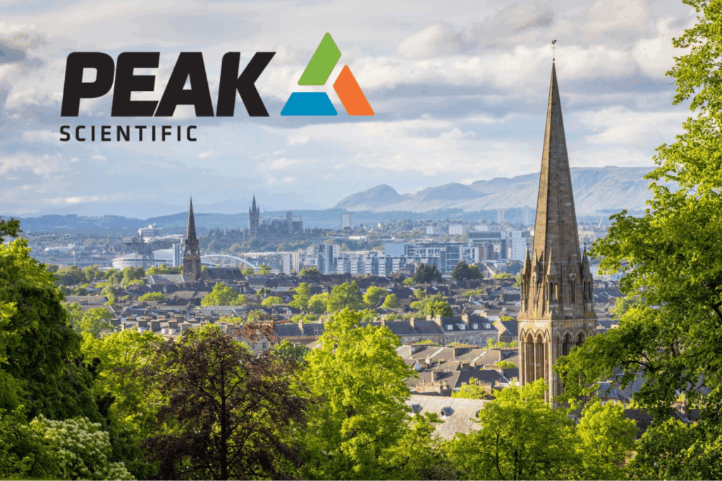 Untitled Design (44)